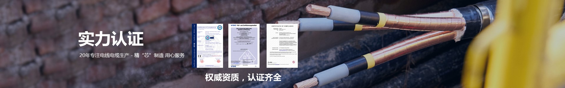 榮譽資質