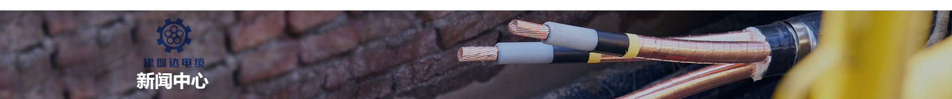 電纜相關